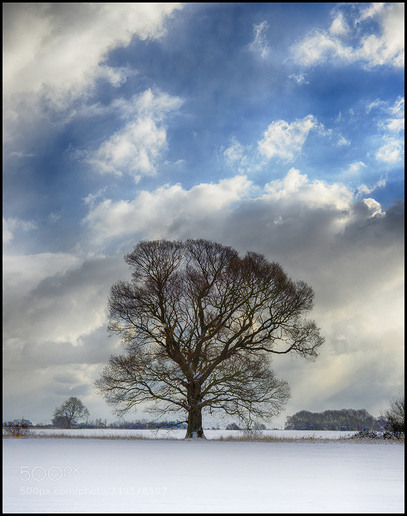 Nikon D800 sample photo. Clouds parted photography