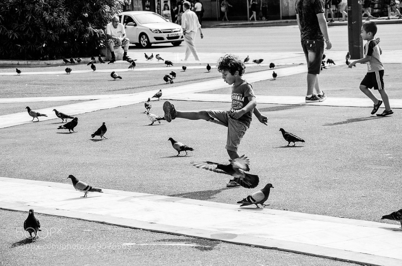 Nikon D7000 sample photo. Playing with doves photography