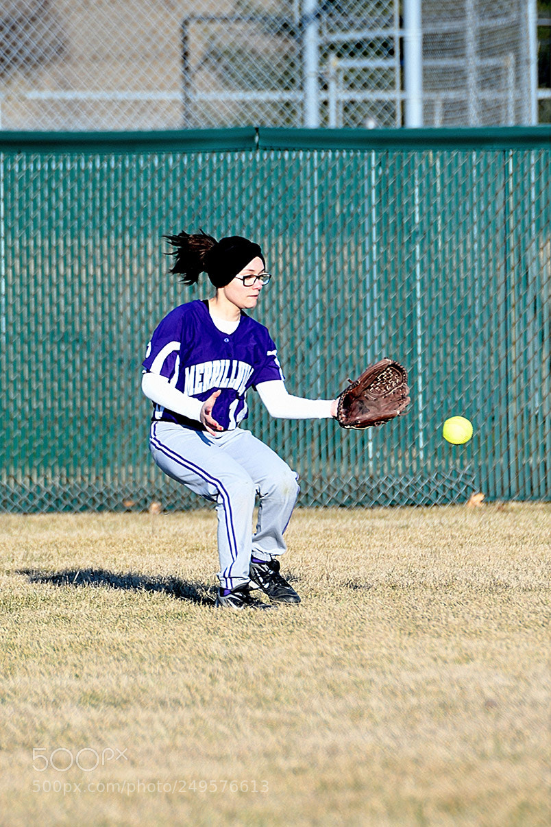 Nikon D500 sample photo. 3-14_0417.jpg photography