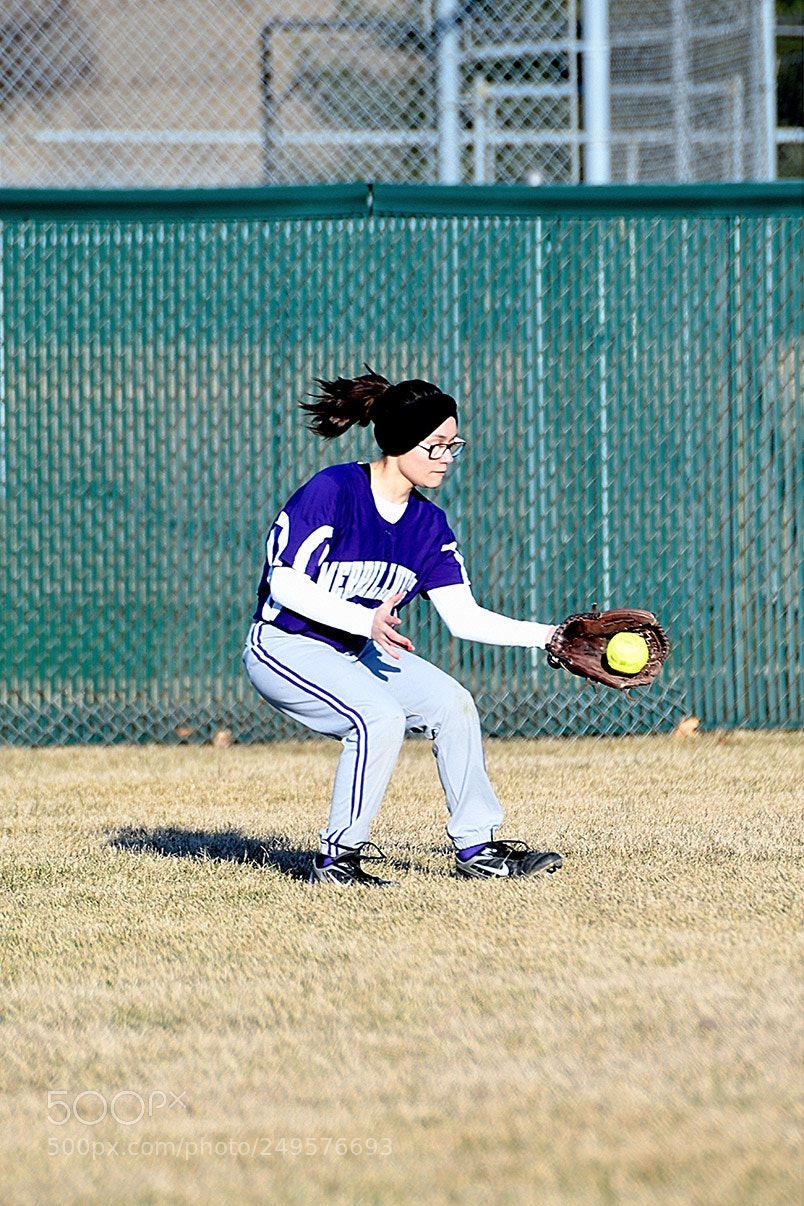Nikon D500 sample photo. 3-14_0418.jpg photography