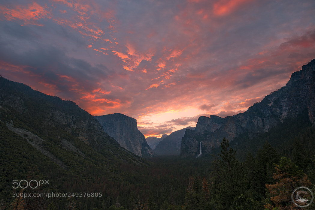 Nikon D800E sample photo. Valley fire photography