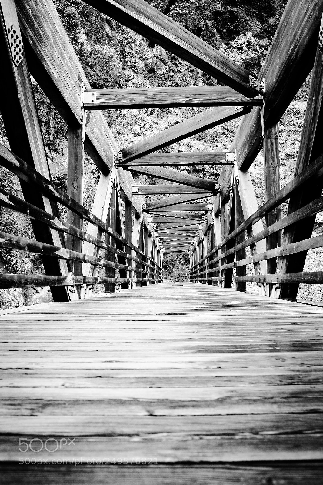 Canon EOS 600D (Rebel EOS T3i / EOS Kiss X5) sample photo. Follow me photography