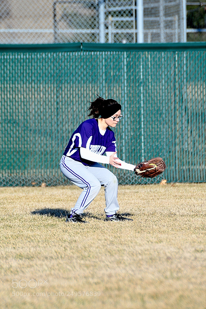 Nikon D500 sample photo. 3-14_0419.jpg photography