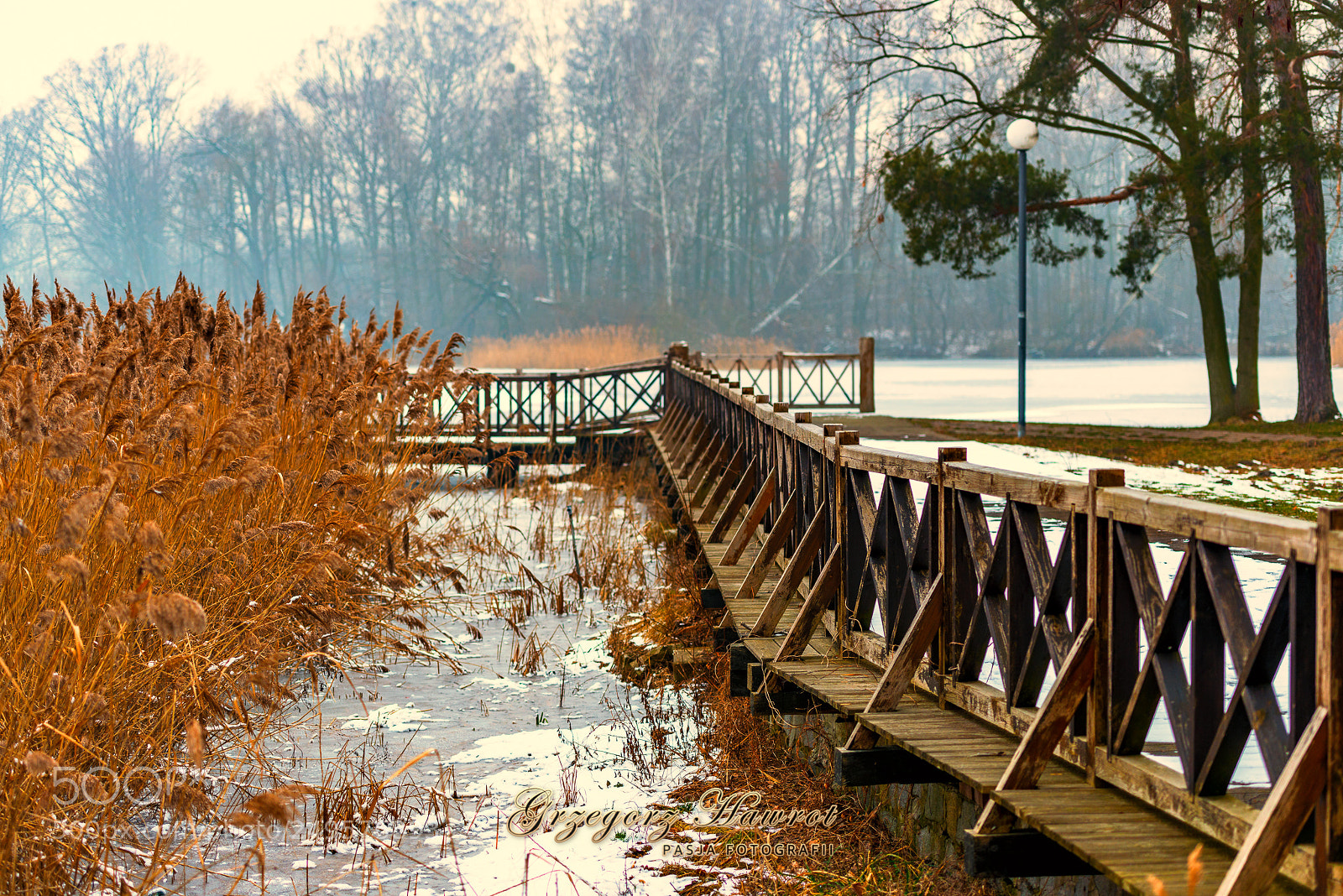Nikon D800 sample photo. Pomost przy brzegu na photography
