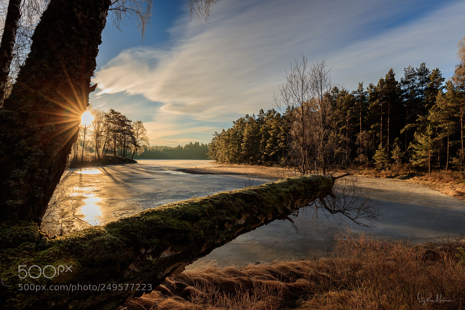 Canon EOS-1D X Mark II sample photo. Boltjern, halden norway photography