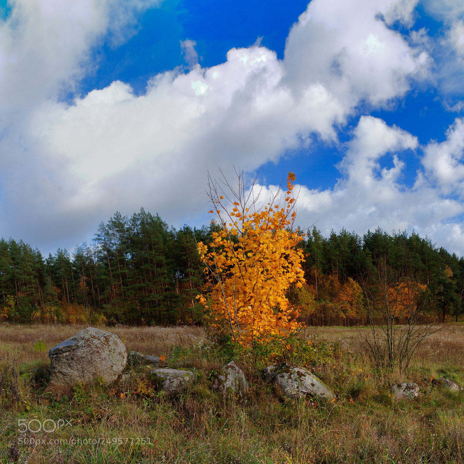 Canon EOS 50D sample photo. Of october iv photography