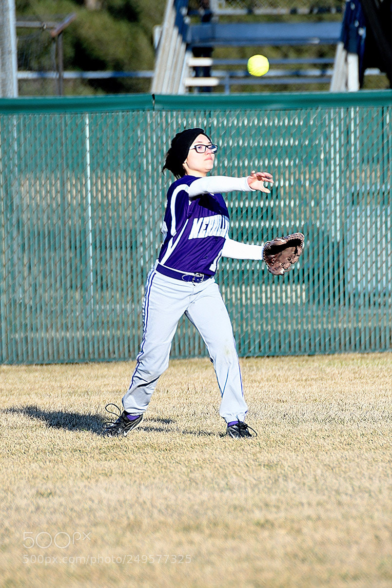 Nikon D500 sample photo. 3-14_0423.jpg photography