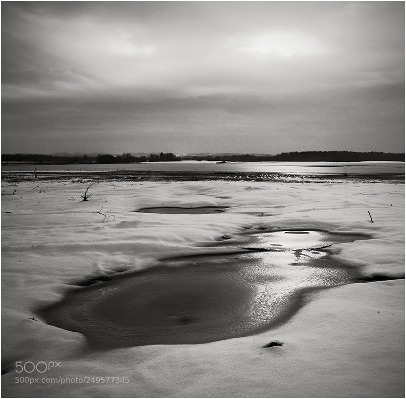 Pentax K-5 II sample photo. Floodplain photography