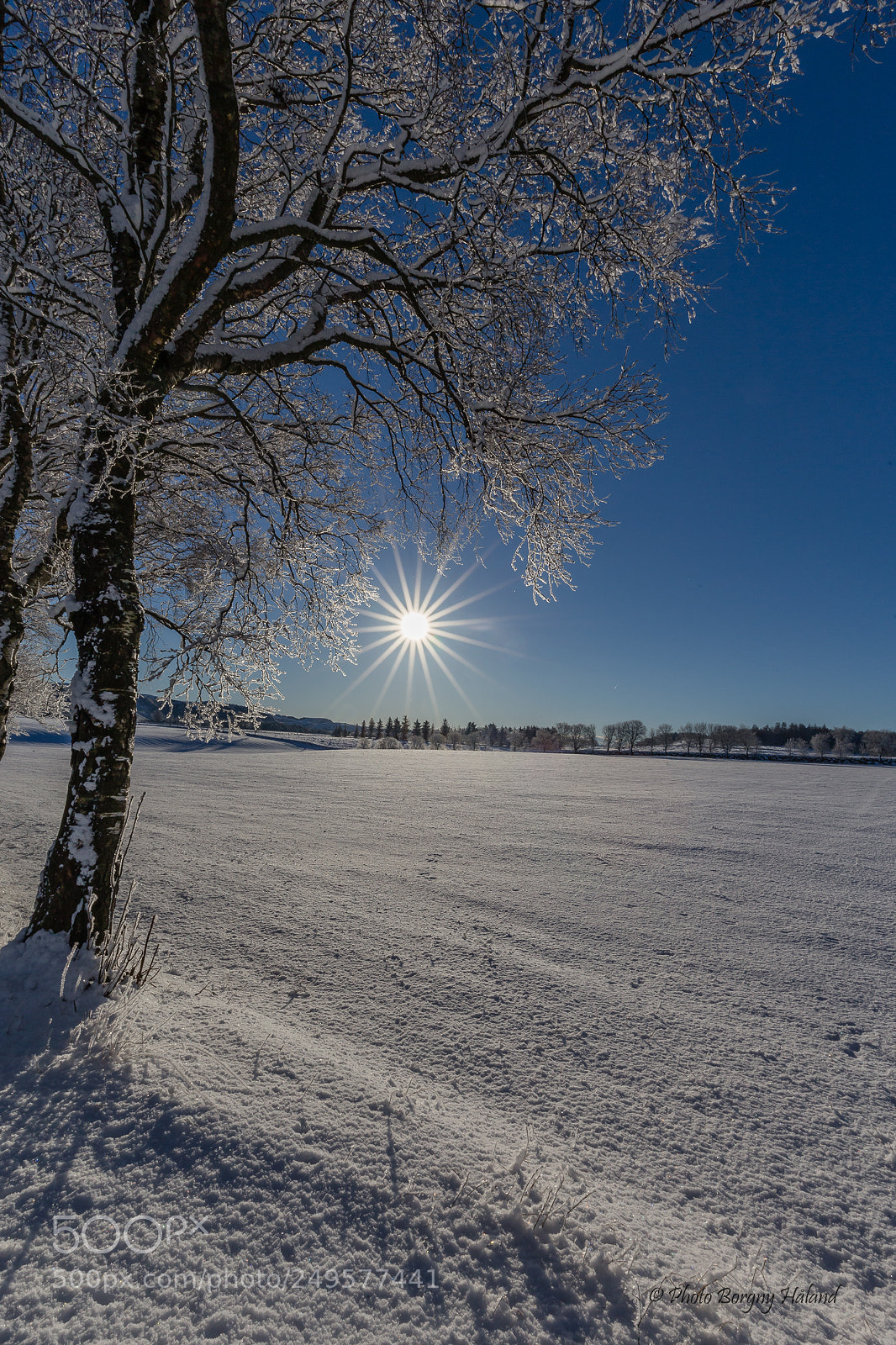Canon EOS 6D sample photo. Winterwonderland ! photography