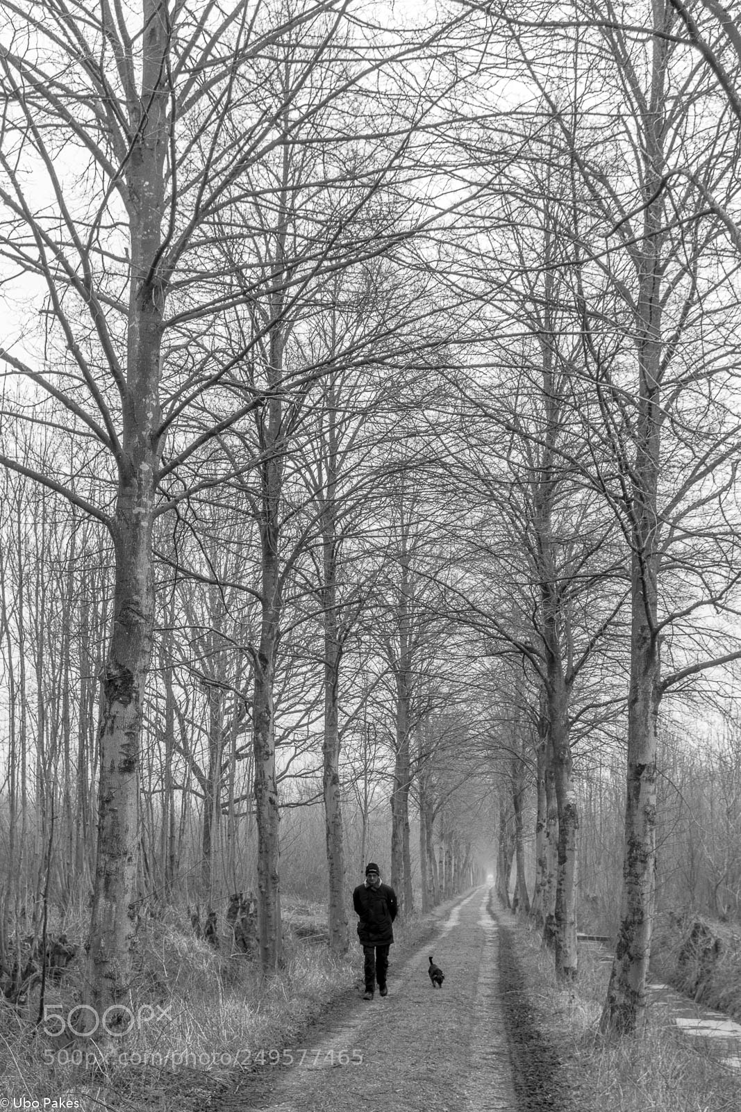 Sony a6300 sample photo. Walking the dog ii photography