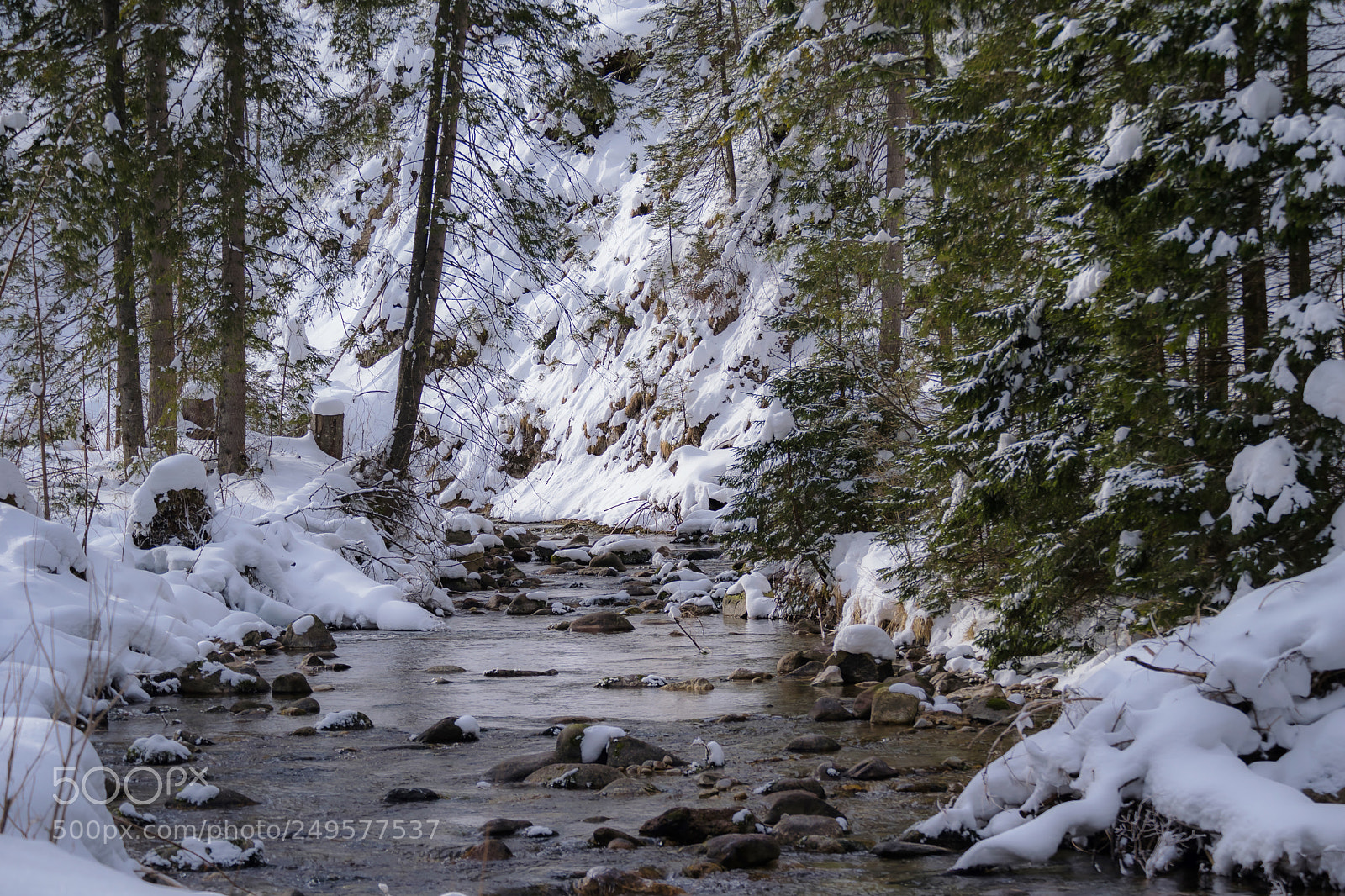 Nikon D3300 sample photo. Mountain river ... winter photography