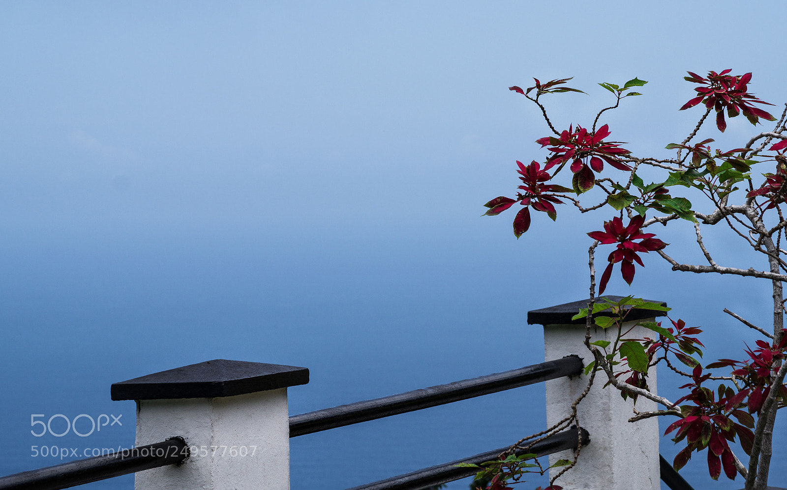 Sony SLT-A58 sample photo. Misty blue photography