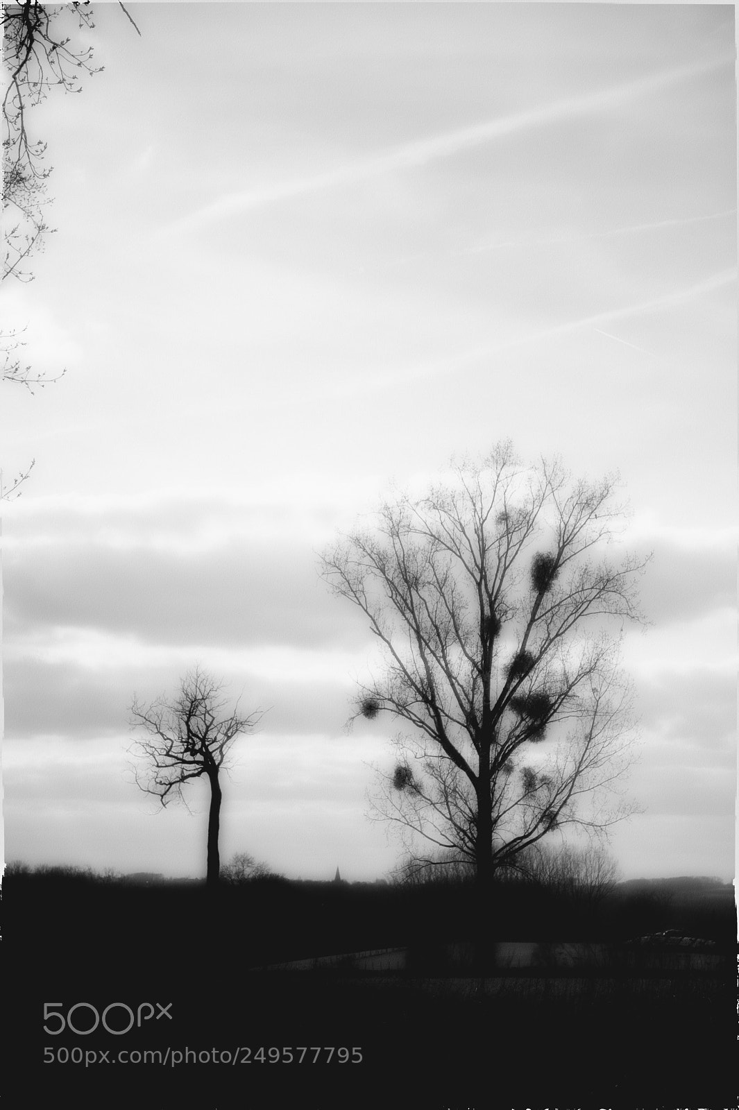 Nikon D3 sample photo. Pajottenland serie photography