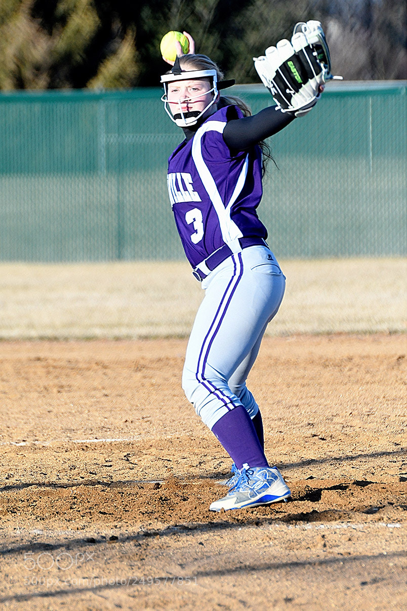 Nikon D500 sample photo. 3-14_0682.jpg photography