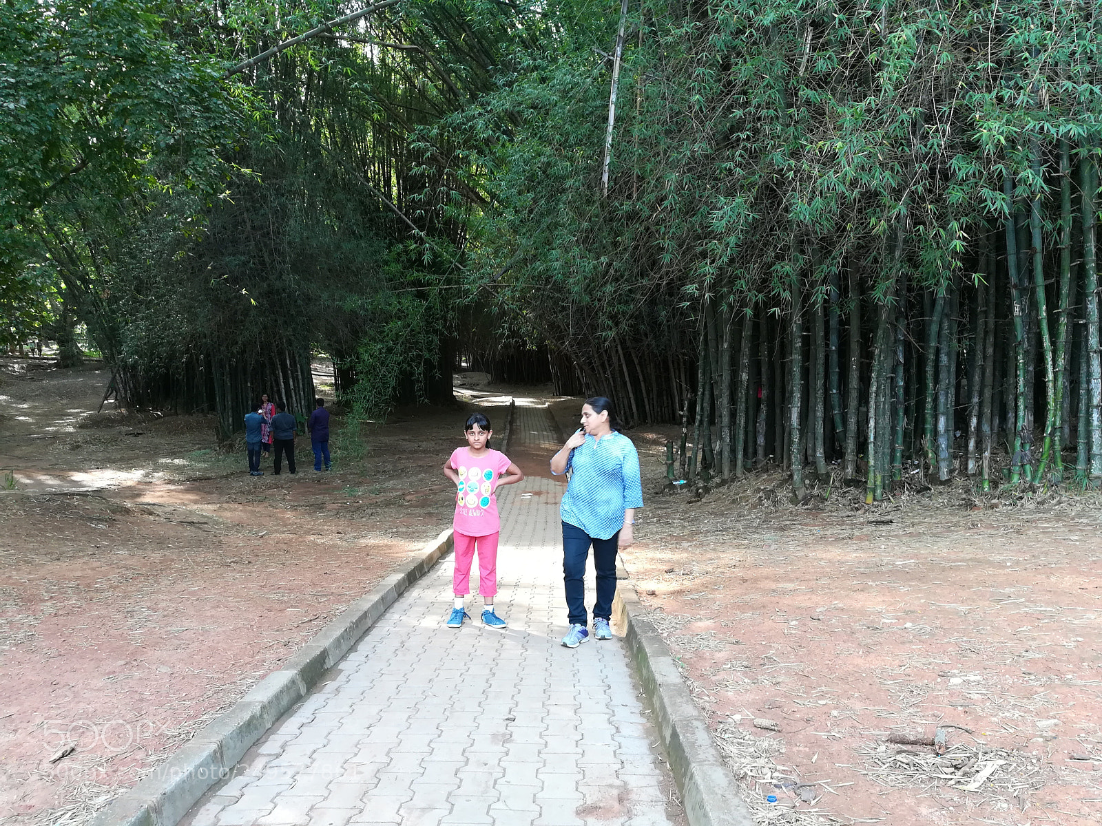 HUAWEI honor 6x sample photo. Cubbon park photography
