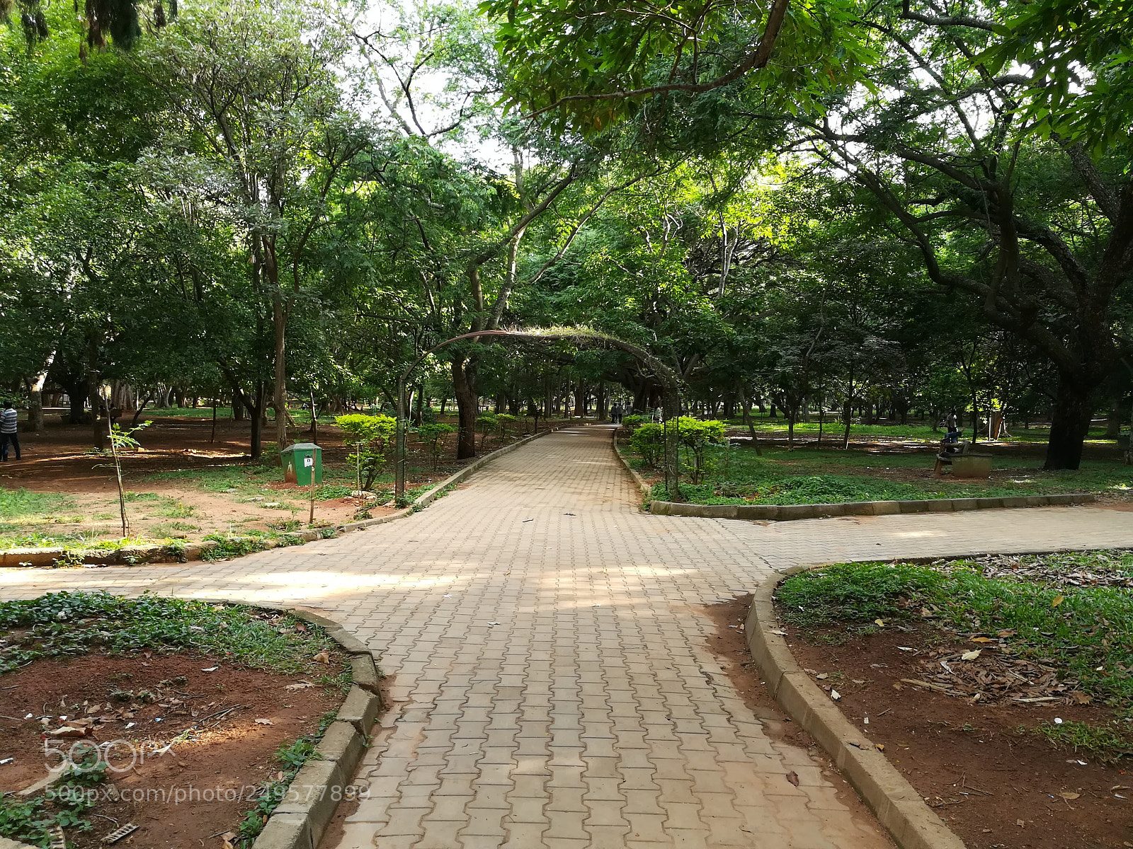 HUAWEI honor 6x sample photo. Cubbon park photography
