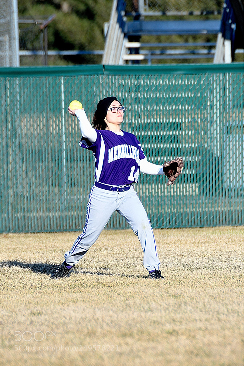 Nikon D500 sample photo. 3-14_0422.jpg photography