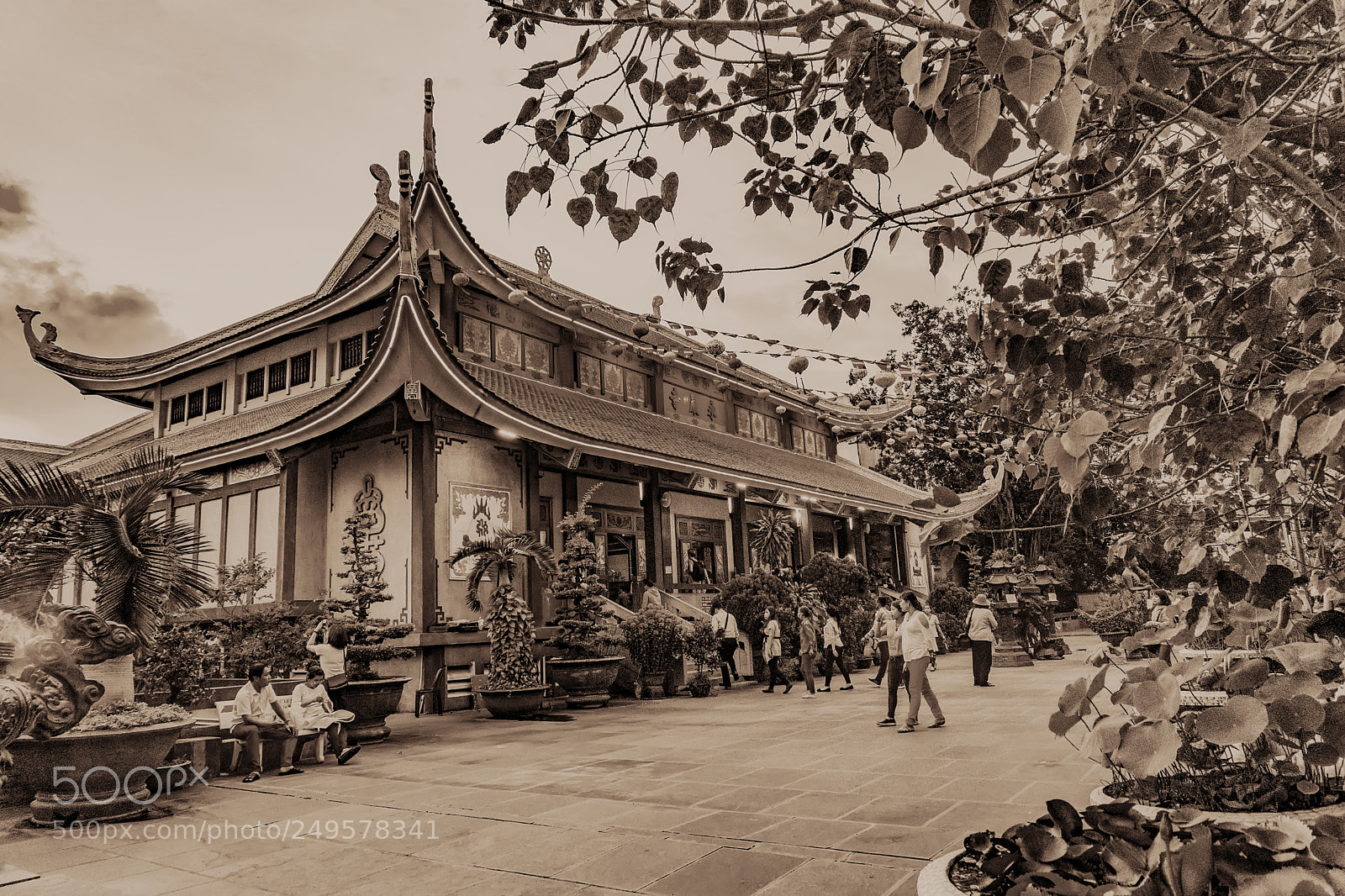 Sony a6000 sample photo. Dsc17371 photography