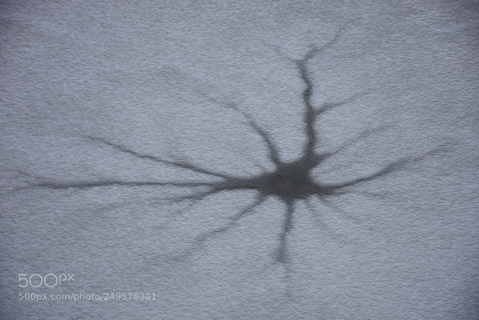Nikon D7200 sample photo. The ice broke photography