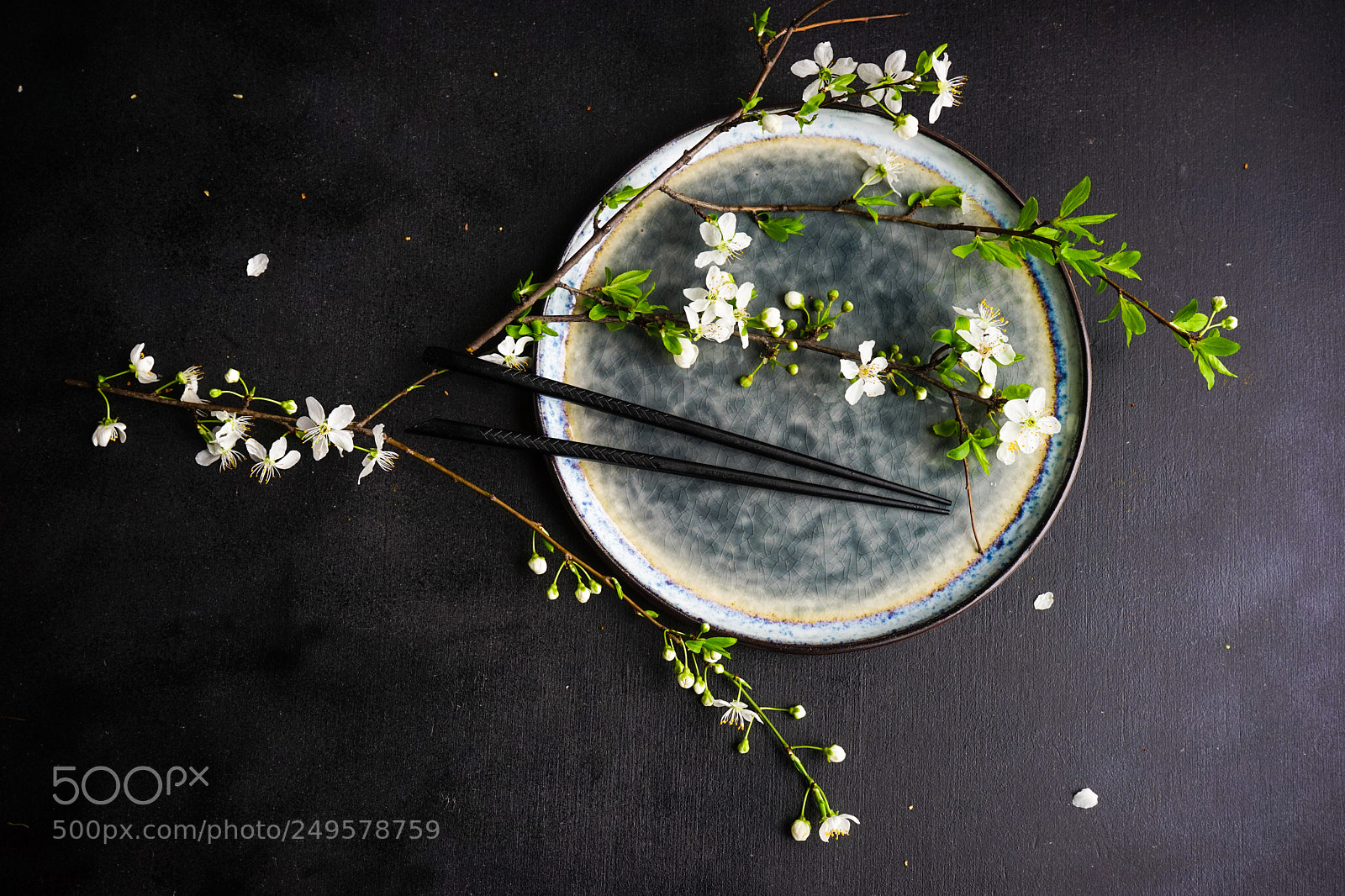 Sony a7 sample photo. Spring floral concept photography