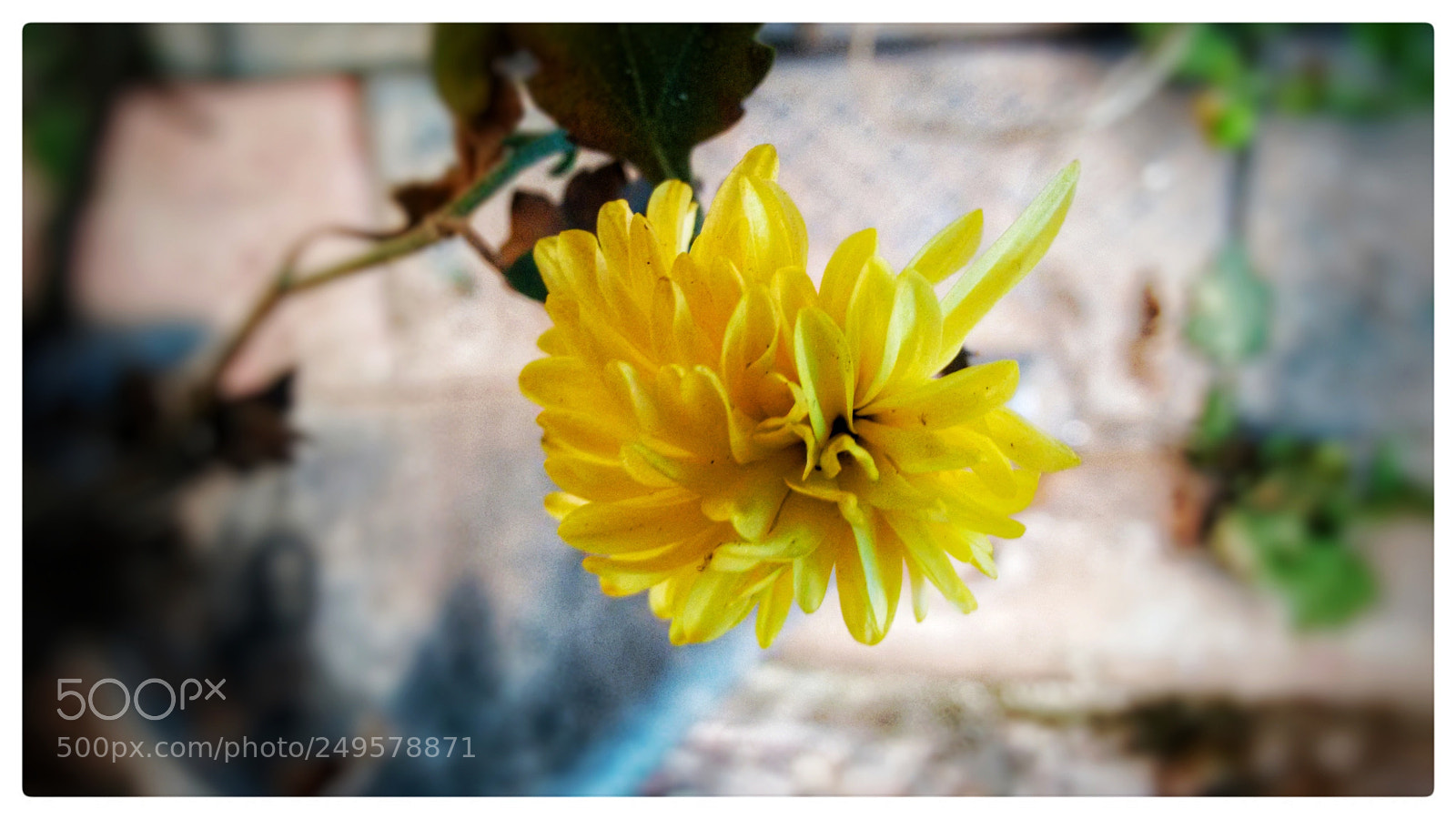 Motorola Moto G (2nd Gen) sample photo. Untitled photography
