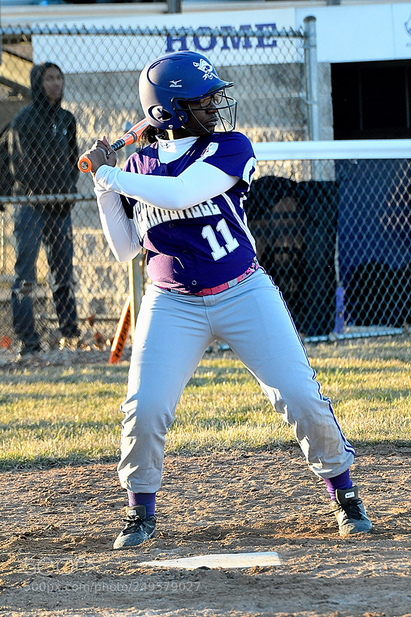Nikon D500 sample photo. 3-14_0922.jpg photography