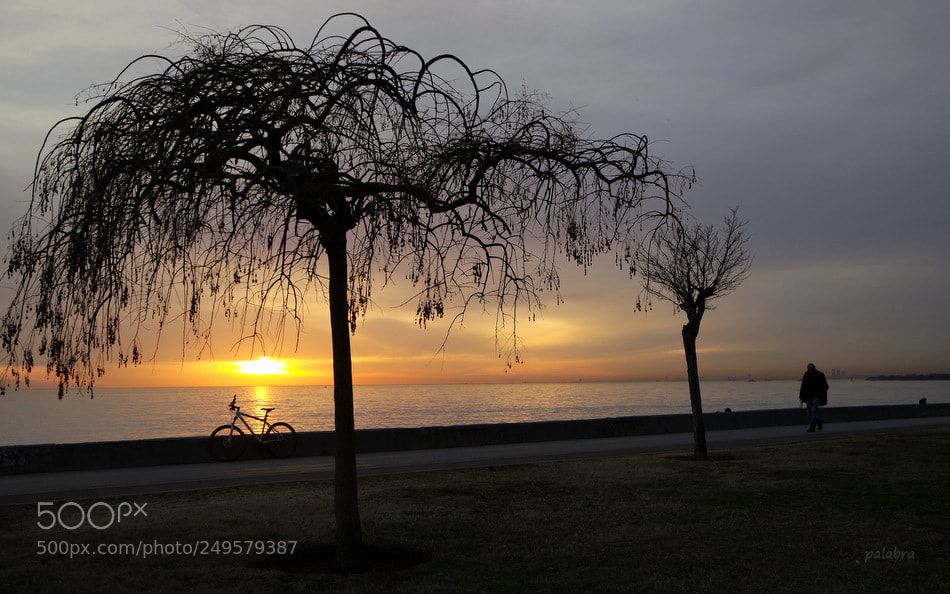 Samsung NX3000 sample photo. ... photography