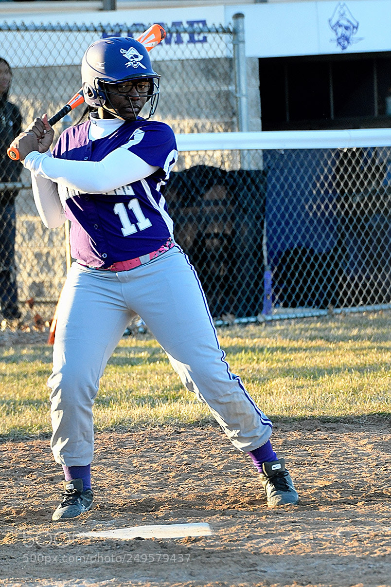Nikon D500 sample photo. 3-14_0924.jpg photography