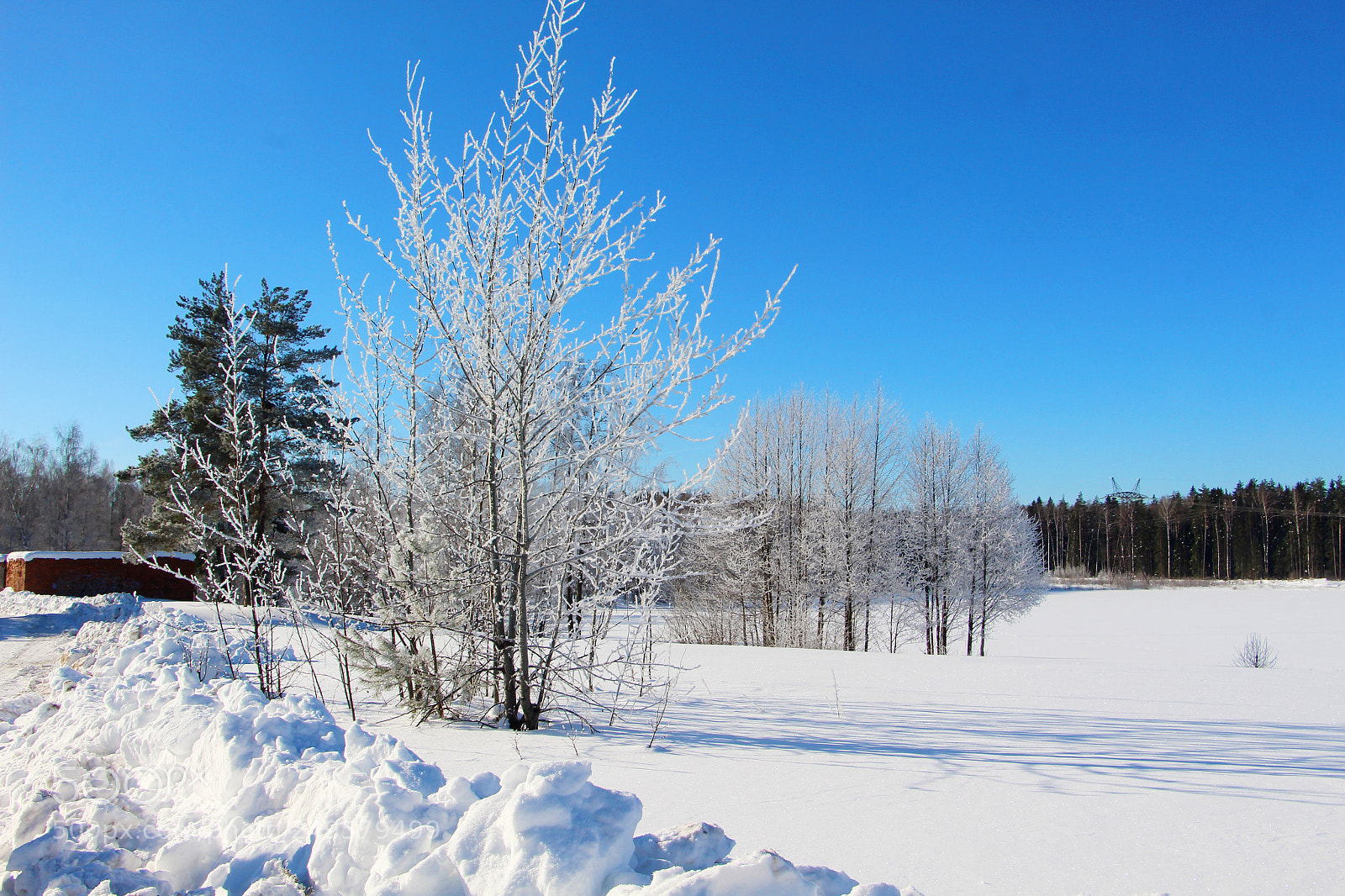 Canon EOS 700D (EOS Rebel T5i / EOS Kiss X7i) sample photo. Winter photography