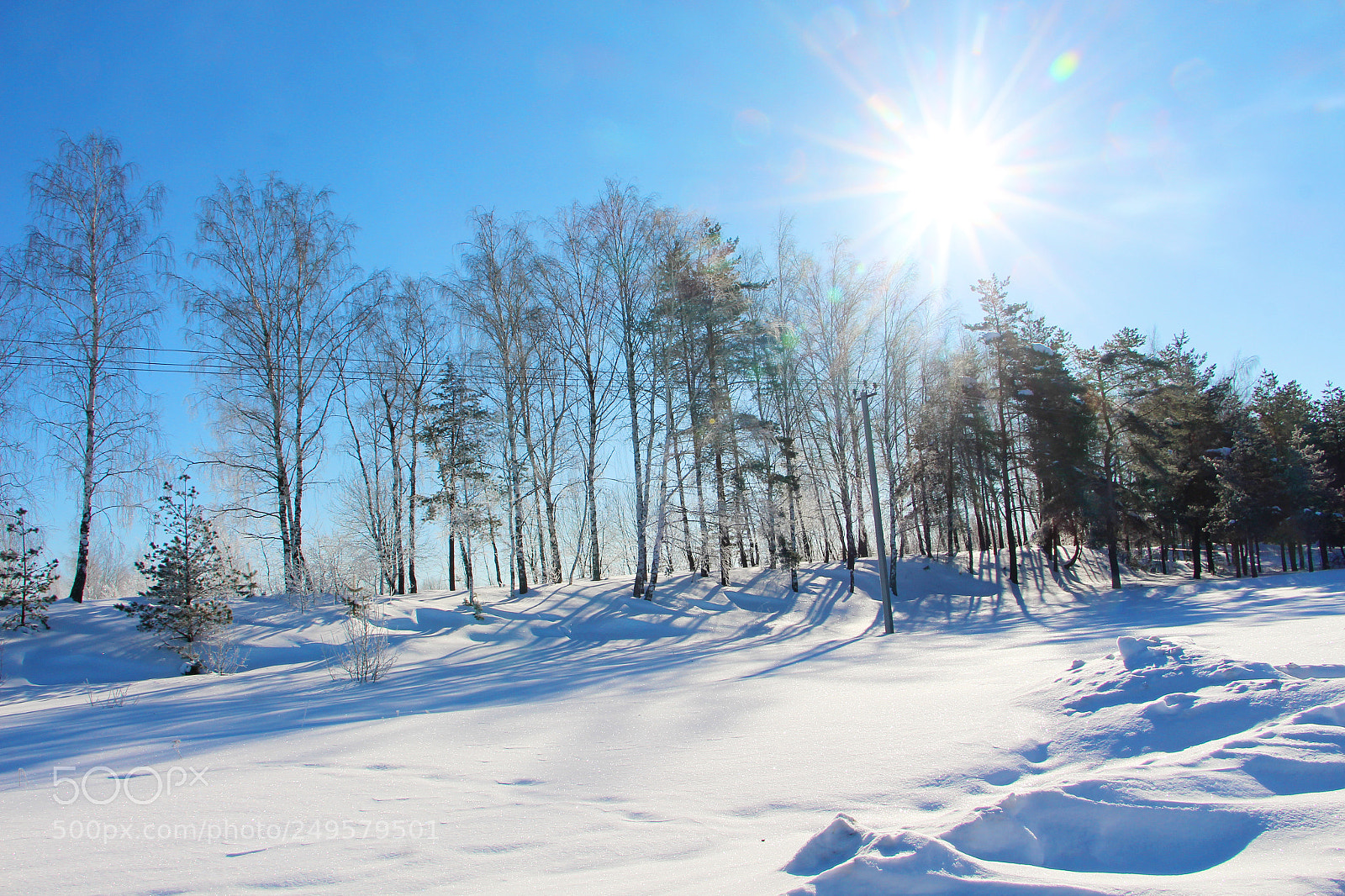 Canon EOS 700D (EOS Rebel T5i / EOS Kiss X7i) sample photo. Winter photography