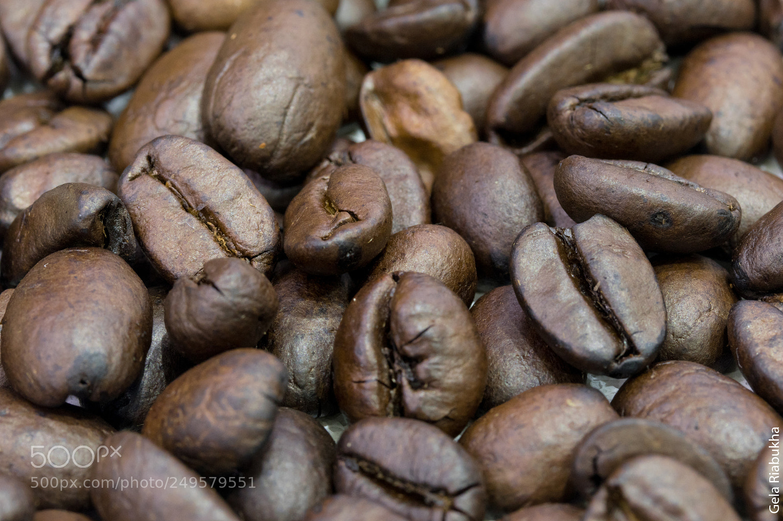 Canon EOS 80D sample photo. Coffee beans photography