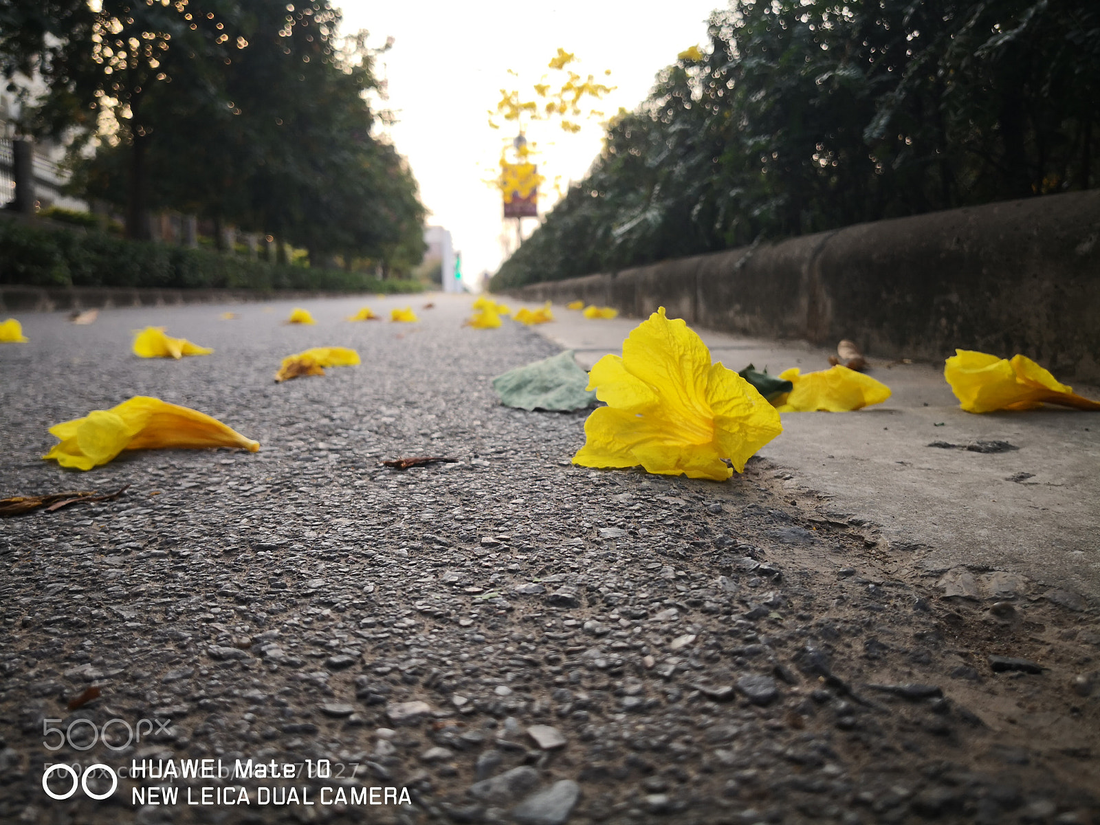 HUAWEI Mate 10 sample photo. Untitled photography