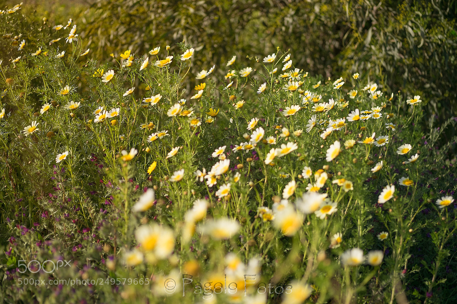 Fujifilm X-T1 sample photo. Untitled photography