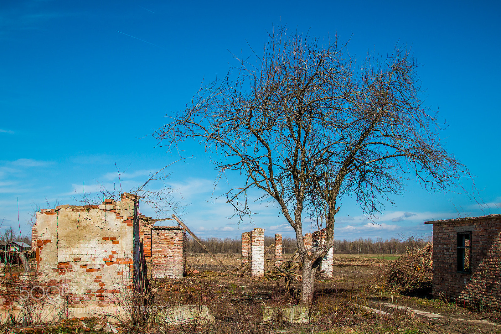 Canon EOS 70D sample photo. Ruins photography
