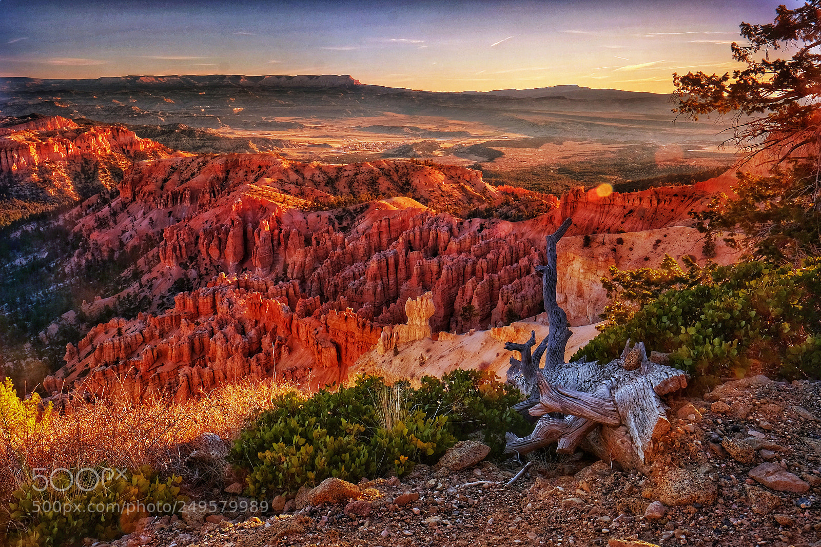 Fujifilm X-T10 sample photo. Morning at bryce photography