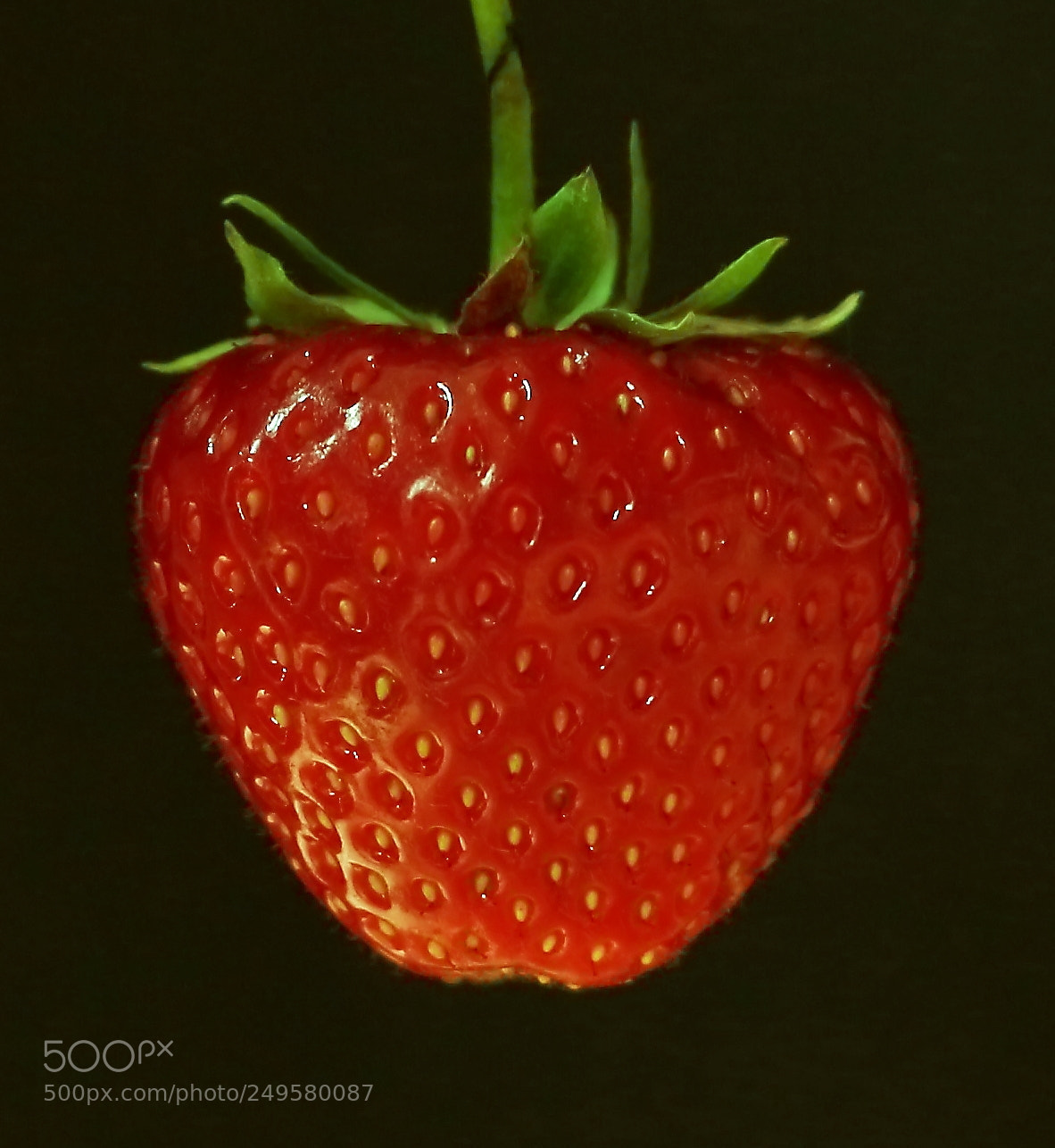 Canon EOS 700D (EOS Rebel T5i / EOS Kiss X7i) sample photo. Erdbeeren photography