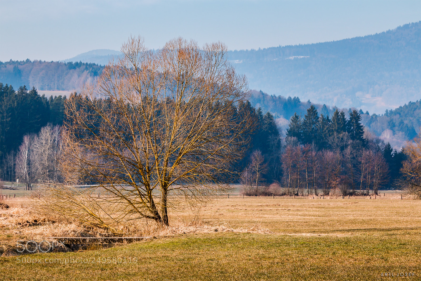 Canon EOS 70D sample photo. Lallinger winkel / rusel photography