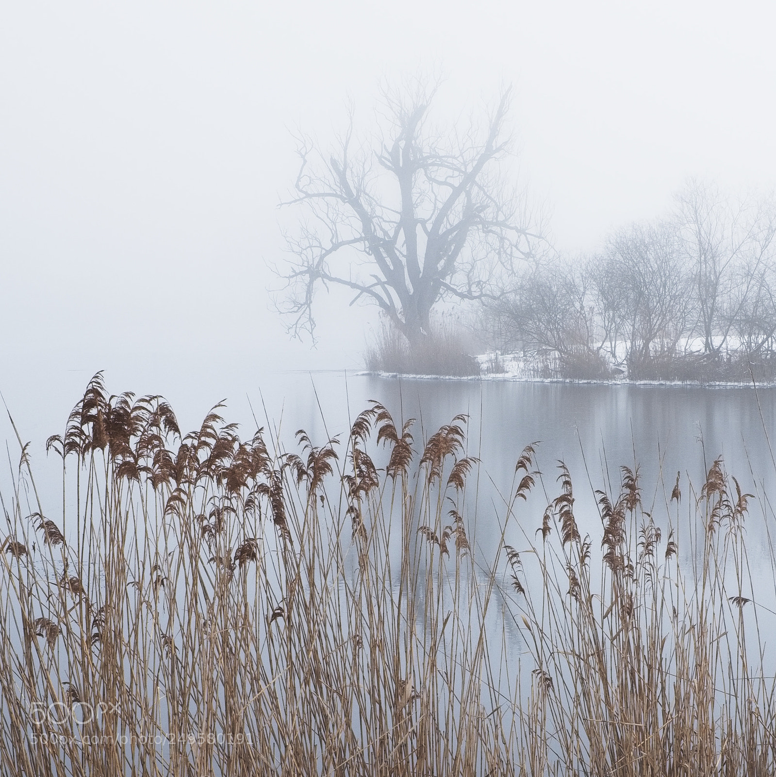Fujifilm X-T2 sample photo. Versunken photography