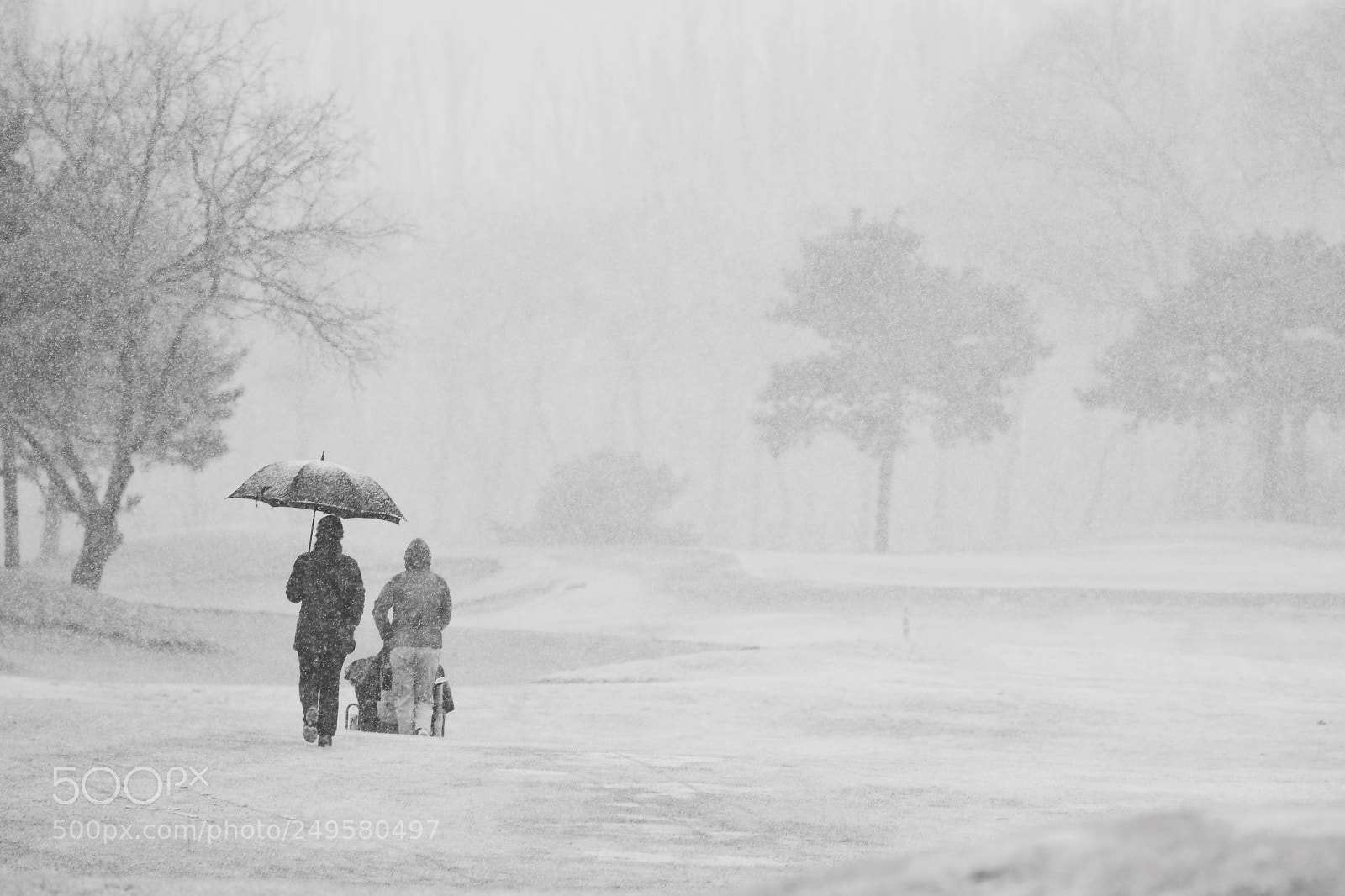 Nikon D500 sample photo. Golfing in the snow photography