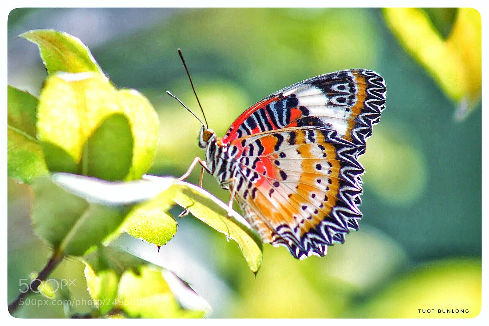 Canon EOS 77D (EOS 9000D / EOS 770D) sample photo. Untitled photography