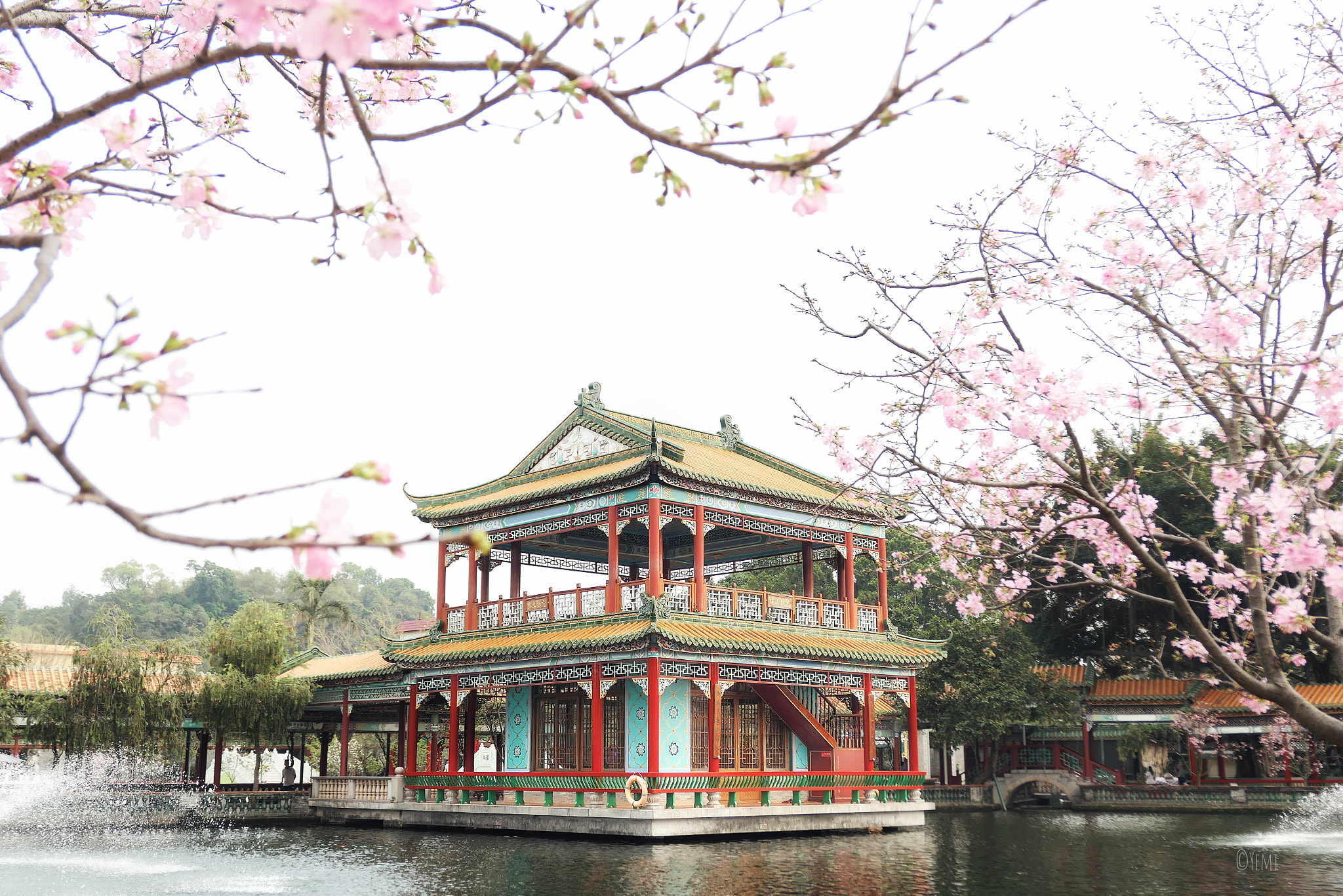 Panasonic Lumix DMC-LX10 (Lumix DMC-LX15) sample photo. Guangzhou baomo garden cherry blossom festival photography