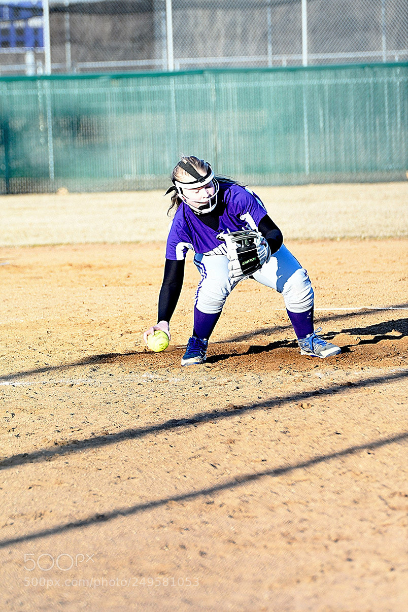 Nikon D500 sample photo. 3-14_0733.jpg photography