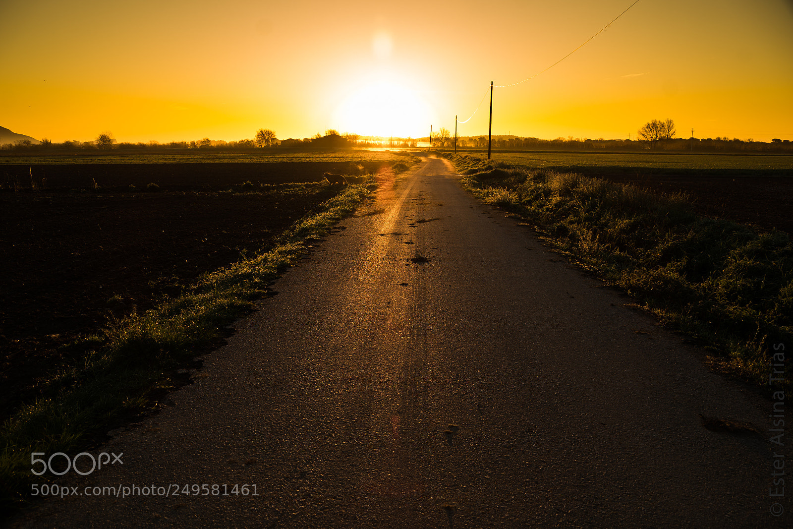 Sony a7R II sample photo. Carretera photography