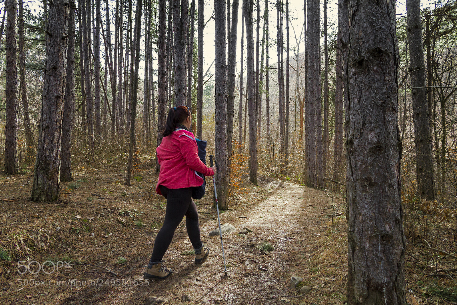 Canon EOS 7D sample photo. She walks into the photography