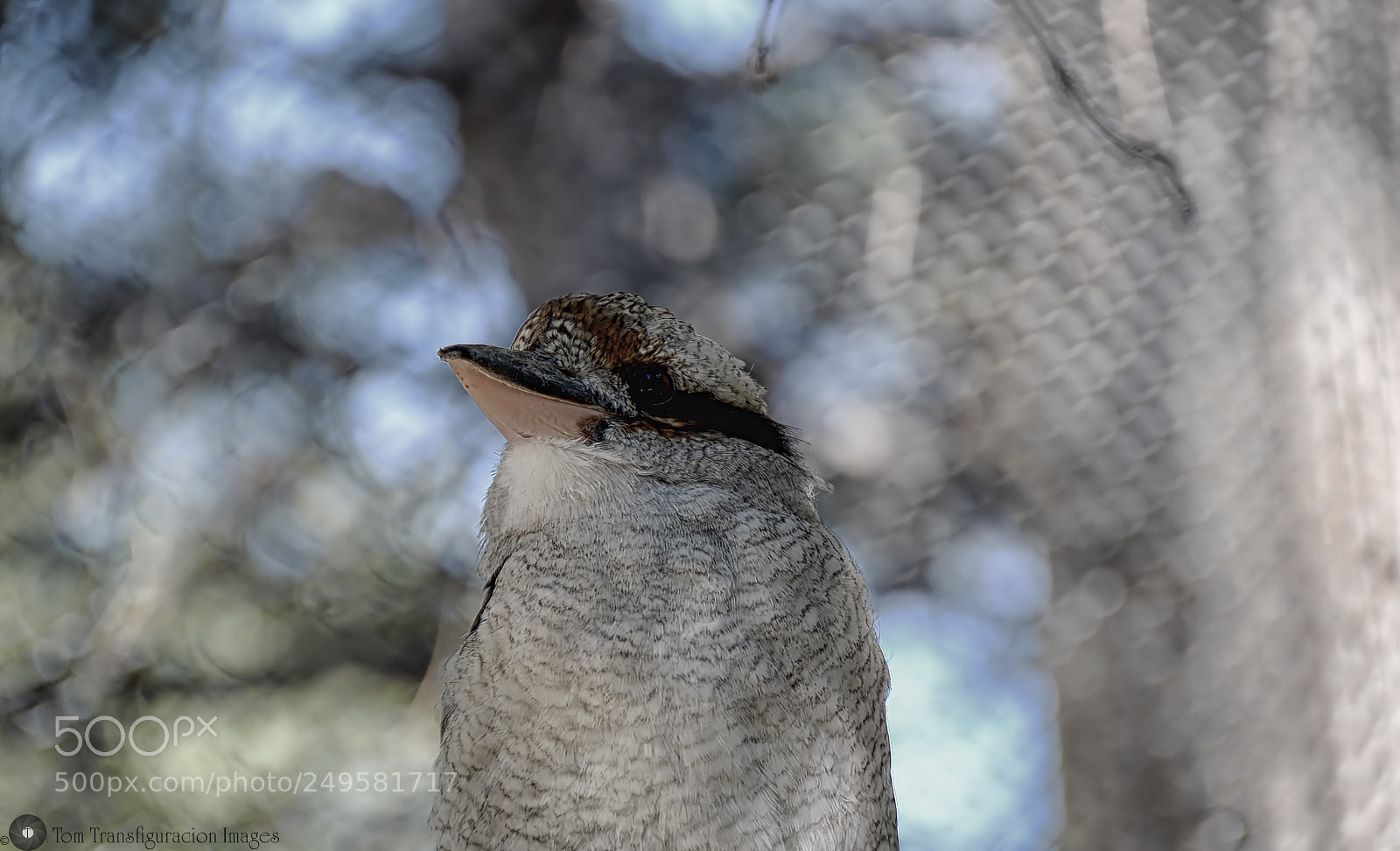Nikon D610 sample photo. Chillin... photography