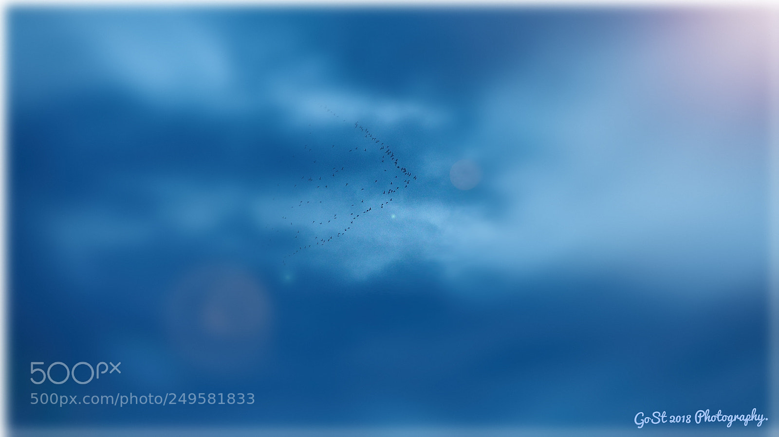Olympus OM-D E-M10 sample photo. Birds flying in a photography