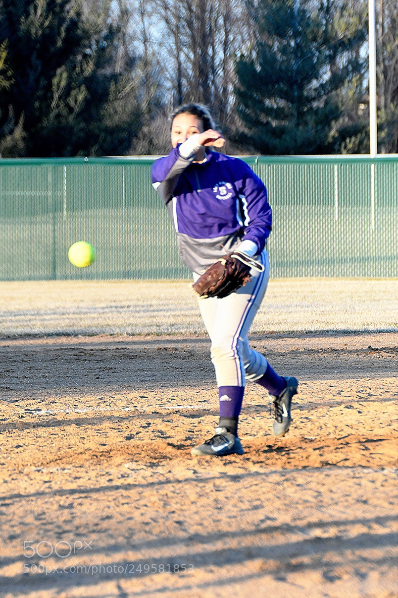 Nikon D500 sample photo. 3-14_0951.jpg photography