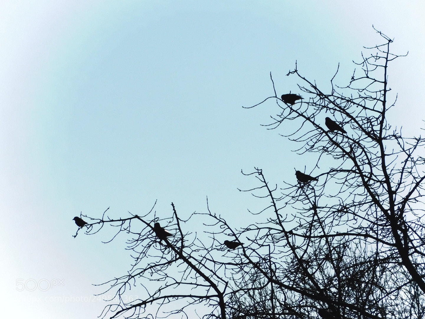 Nikon Coolpix B500 sample photo. ... photography