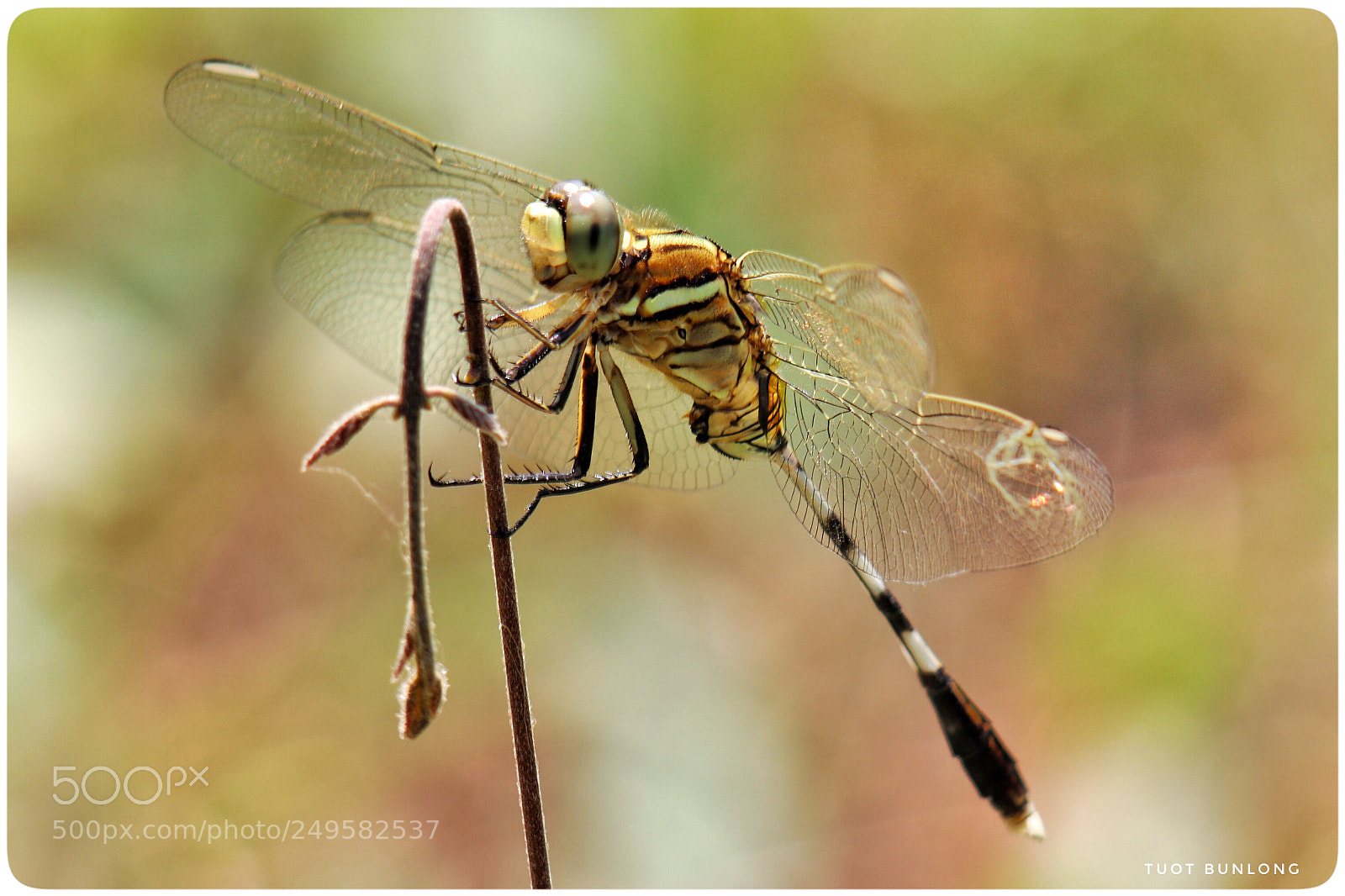 Canon EOS 77D (EOS 9000D / EOS 770D) sample photo. Untitled photography