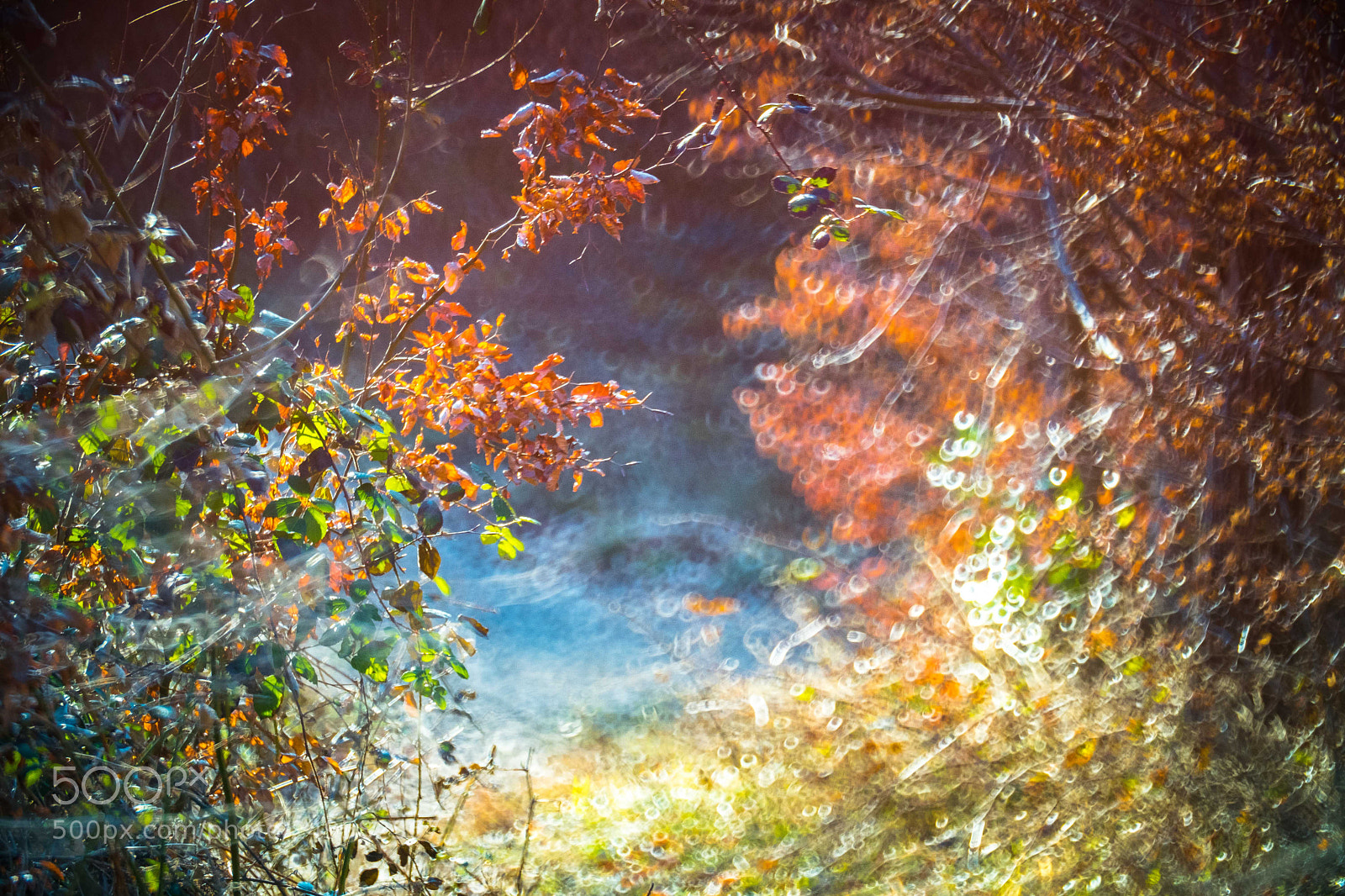 Fujifilm X-T2 sample photo. Untitled photography